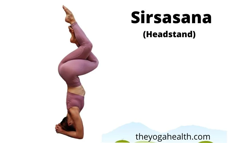 Headstand On Forearms: 16 Awesome Benefits - The Yoga Health | Yoga Poses,  Diet & Lifestyle