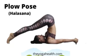 Read more about the article Plow Pose (Halasana): Benefits, Steps & Variations