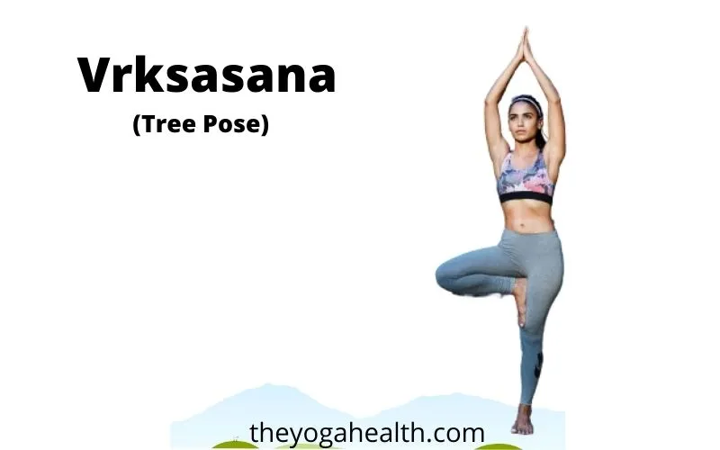 You are currently viewing Vrksasana | Tree Pose variations, steps, benefits