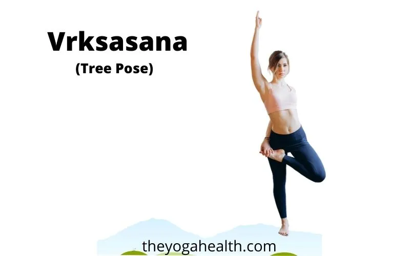 Tree Pose Variations