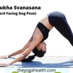 Downward Facing Dog Pose Yoga (Adho Mukha Svanasana) 2022