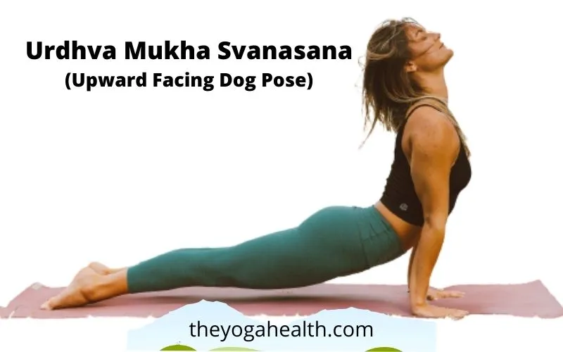 Read more about the article How to do Dog Pose Yoga (Urdhva Mukha Svanasana) 2022