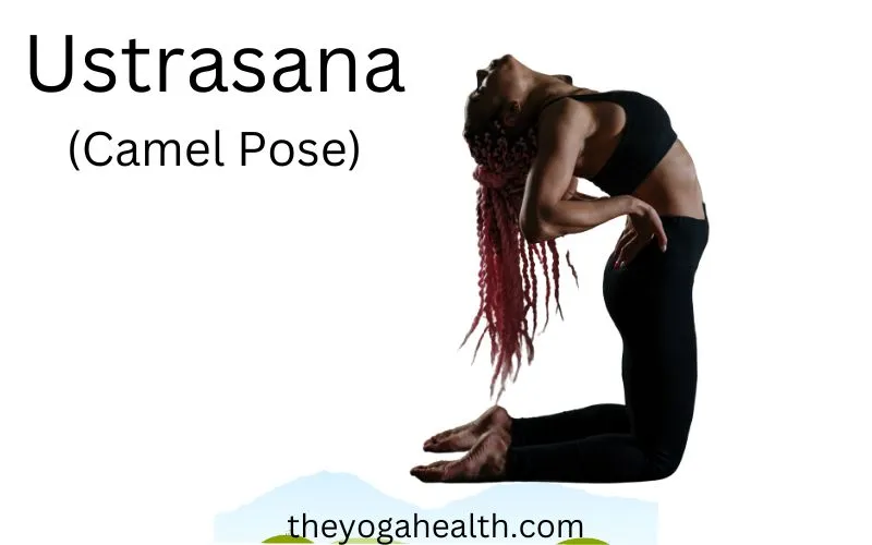 Camel Pose in Yoga