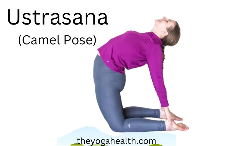 Read more about the article Camel Pose In Yoga: (Ustrasana) 12 Amazing Benefits