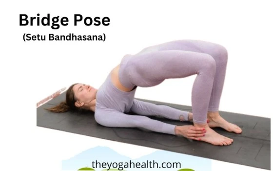 You are currently viewing Bridge Pose Yoga: Benefits, steps & variations