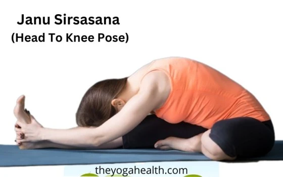 Most popular Pregnancy Yoga Postures - Hot Yoga Cork