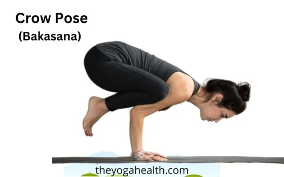 Crow Pose Benefits 