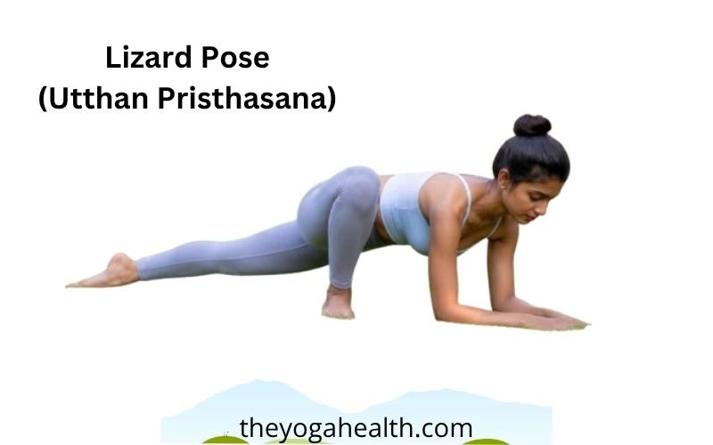 Lizard Pose in yoga Lizard Pose in yoga